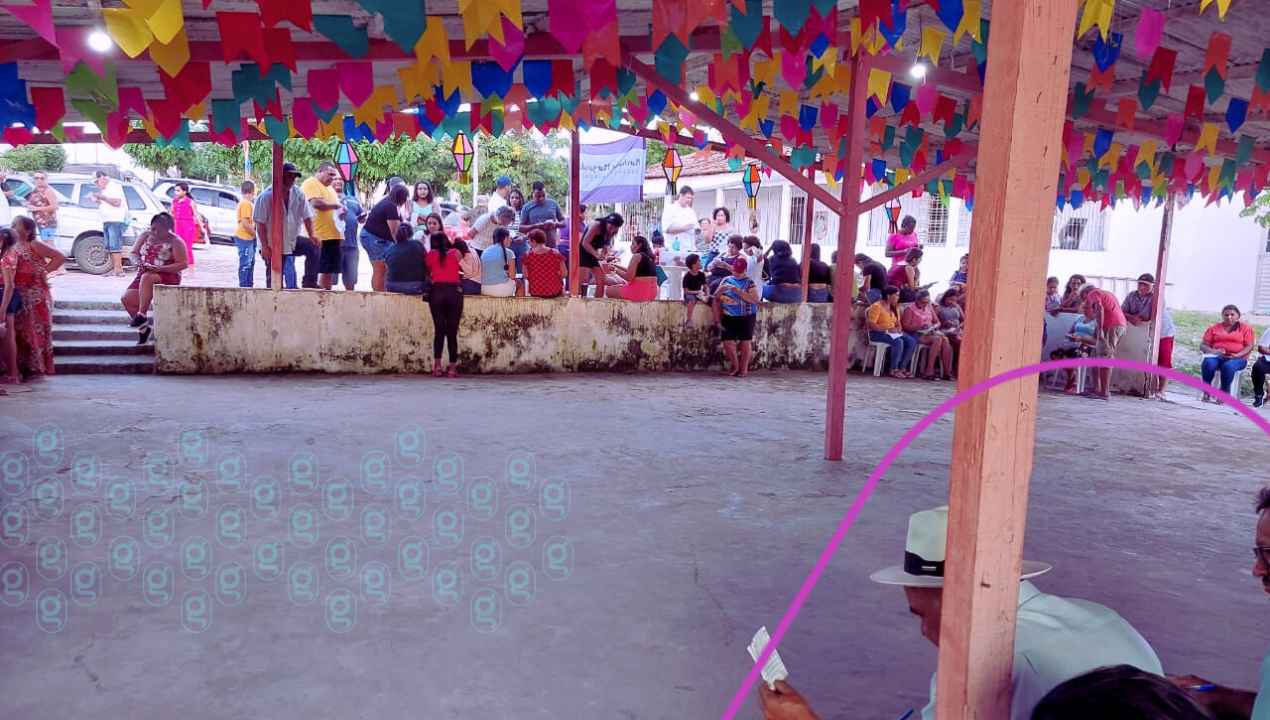 Margaridas